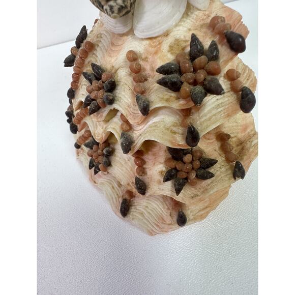 Vtg Sea Shell Doll, Folk Art Woman Figurine Made Completely with Sea Shells - Picture 7 of 9